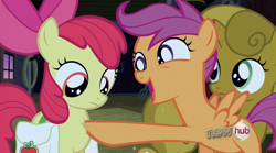 Size: 850x471 | Tagged: safe, screencap, apple bloom, scootaloo, sweetie belle, earth pony, pegasus, pony, unicorn, one bad apple, female, filly, sweetie gold