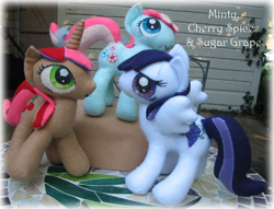 Size: 700x536 | Tagged: safe, artist:krumm33, cherry spices, minty, sugar grape, irl, photo, plushie