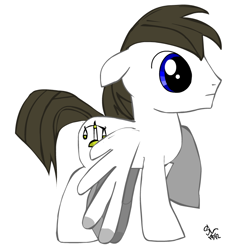 Size: 754x759 | Tagged: safe, artist:bigshot232, oc, oc only, oc:blue skies, pegasus, pony