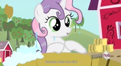 Size: 1569x857 | Tagged: safe, edited screencap, screencap, sweetie belle, one bad apple, bath, caption, wet mane, youtube caption, youtube link