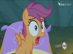 Size: 384x288 | Tagged: safe, screencap, scootaloo, sleepless in ponyville, hub logo, livestream, wrong aspect ratio