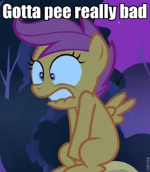 Size: 501x575 | Tagged: safe, edit, edited screencap, screencap, scootaloo, sleepless in ponyville, caption, covering crotch, desperation, image macro, lip bite, need to pee, omorashi, potty time, solo, text