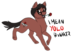 Size: 988x709 | Tagged: safe, artist:fridge, achievement hunter, glasses, ponified, ray narvaez jr, roosterteeth, yolo