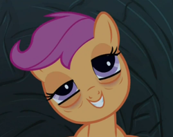 Size: 430x340 | Tagged: safe, screencap, scootaloo, sleepless in ponyville, derp, droopy, faic, out of context, solo, stoned, stoner, tired