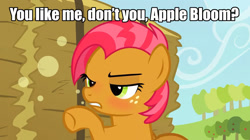 Size: 1280x718 | Tagged: safe, edit, edited screencap, screencap, babs seed, earth pony, pony, apple family reunion, appleseed, blushing, caption, cider, confrontation, drunk, drunker babs, female, filly, image macro, implied apple bloom, implied applecest, implied incest, implied shipping, lesbian, meme, shipping