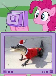 Size: 563x771 | Tagged: safe, alligator, pony, christmas, clothes, exploitable meme, hat, meme, santa costume, santa hat, tv meme