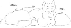 Size: 609x246 | Tagged: safe, artist:mwike, fluffy pony, fluff pile, fluffy pony original art, sleeping