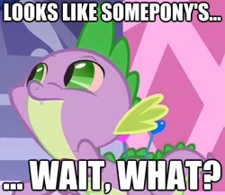 Size: 619x538 | Tagged: safe, spike, dragon, caption, looks like somepony's, male, stoner spike