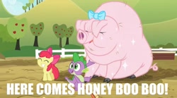 Size: 854x475 | Tagged: safe, artist:fineartobserver, edit, edited screencap, screencap, apple bloom, spike, dragon, earth pony, pig, pony, spike at your service, bow, caption, female, filly, here comes honey boo boo, honey boo boo, image macro, little piggington, smiling, text