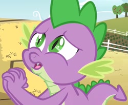 Size: 1055x865 | Tagged: safe, screencap, spike, dragon, spike at your service, male