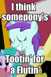 Size: 445x665 | Tagged: safe, aura (character), liza doolots, petunia, tootsie flute, image macro, looks like somepony's