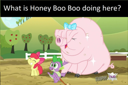 Size: 500x332 | Tagged: safe, edit, edited screencap, screencap, apple bloom, spike, dragon, earth pony, pig, pony, spike at your service, female, filly, honey boo boo, little piggington, male