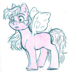 Size: 500x470 | Tagged: safe, artist:gezibing, oc, flutter pony, g1, sketch