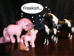 Size: 800x600 | Tagged: safe, baby cotton candy, cotton candy (g1), horse, pony, g1, breyer, horse-pony interaction, irl, photo, toy