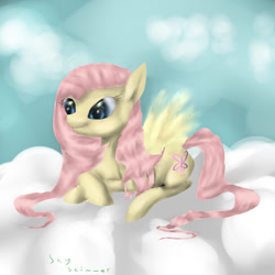 Size: 900x900 | Tagged: safe, artist:wellhader, pegasus, pony, g2, female, g2 to g4, generation leap, mare, not fluttershy, sky skimmer