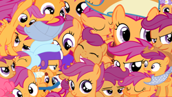 Size: 1920x1080 | Tagged: safe, scootaloo, pegasus, female, filly, helmet, orange coat, purple mane, solo, wig