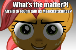 Size: 1096x732 | Tagged: safe, babs seed, caption, manehattan, meme, stare