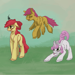 Size: 1280x1280 | Tagged: safe, artist:erijt, apple bloom, scootaloo, sweetie belle, cutie mark crusaders, unshorn fetlocks