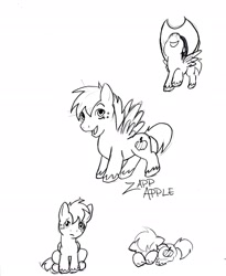 Size: 2552x3107 | Tagged: safe, artist:tristanjsolarez, oc, oc only, oc:zapp apple, black and white, colt, grayscale, magical lesbian spawn, male, monochrome, offspring, parent:applejack, parent:rainbow dash, parents:appledash