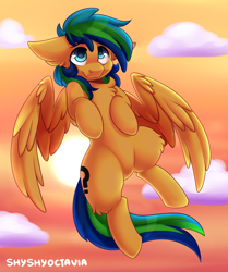 Size: 1607x1918 | Tagged: safe, artist:shyshyoctavia, oc, oc only, oc:sky, pegasus, pony, afternoon, cloud, commission, cute, floppy ears, flying, male, sky, solo, stallion