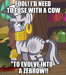 Size: 500x574 | Tagged: safe, zecora, cow, zebra, it isn't the mane thing about you, demands, fusion, jocora, raised eyebrow, zebrow