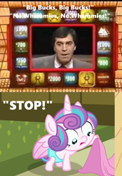 Size: 959x1378 | Tagged: safe, edit, edited screencap, screencap, princess flurry heart, whammy, human, a flurry of emotions, diaper, meme, no whammies, ponyville hospital, press your luck