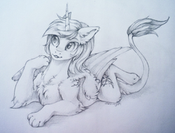 Size: 1280x975 | Tagged: safe, artist:kerydarling, oc, oc only, oc:katya ironstead, sphinx, chest fluff, cute, fluffy, paws, sketch, solo, species swap, sphinx oc, sphinxified, traditional art