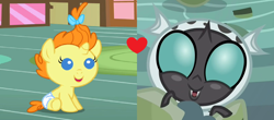 Size: 1660x732 | Tagged: safe, edit, edited screencap, screencap, pumpkin cake, thorax, changeling, baby, cakerax, female, interspecies, male, shipping, shipping domino, straight