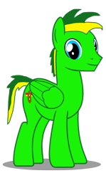 Size: 1024x1723 | Tagged: safe, artist:didgereethebrony, oc, oc only, oc:didgeree, pegasus, pony, 2018 community collab, derpibooru community collaboration, simple background, solo, transparent background