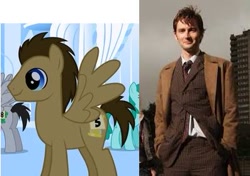 Size: 397x279 | Tagged: safe, doctor whooves, pegasus, pony, comparison, david tennant, doctor who, irl, photo, screenshots