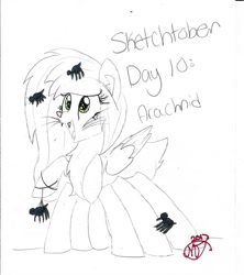 Size: 1024x1151 | Tagged: safe, artist:crystalizedflames, oc, oc only, oc:ginger puff, cat pony, monster pony, original species, pony, spider, spiderpony, female, partial color, sketch