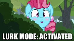 Size: 1280x720 | Tagged: safe, edit, edited screencap, screencap, cup cake, earth pony, pony, the perfect pear, blushing, chiffon swirl, female, mare, meme, solo