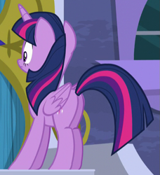 Size: 511x561 | Tagged: safe, screencap, twilight sparkle, twilight sparkle (alicorn), alicorn, amending fences, cropped, plot, solo