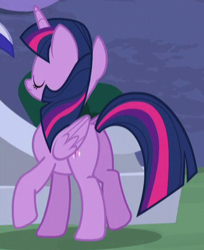 Size: 328x401 | Tagged: safe, screencap, twilight sparkle, twilight sparkle (alicorn), alicorn, amending fences, cropped, plot, solo