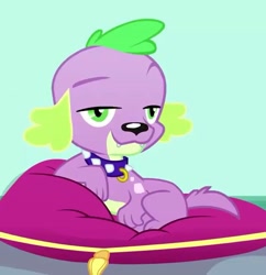 Size: 697x720 | Tagged: safe, screencap, spike, spike the regular dog, dog, eqg summertime shorts, equestria girls, pet project, cropped, dreamworks face, looking at you, paws, puppy, raised eyebrow, smiling