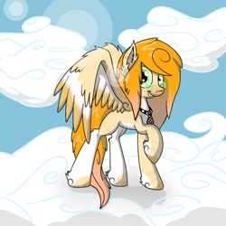 Size: 894x894 | Tagged: safe, artist:nat998877, oc, oc only, oc:alani, pegasus, pony, cloud, glasses, necktie, sky