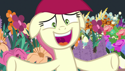 Size: 1280x720 | Tagged: safe, screencap, roseluck, pony, it isn't the mane thing about you, floppy ears, flower, open mouth, solo