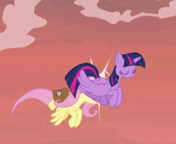 Size: 616x502 | Tagged: safe, screencap, fluttershy, twilight sparkle, twilight sparkle (alicorn), alicorn, pegasus, pony, a health of information, bump, gif, non-animated gif, out of context