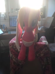 Size: 2448x3264 | Tagged: safe, artist:nazegoreng, oc, oc only, oc:starsweep sweetsky, pony, computer, fl studio, irl, looking at you, photo, plushie, speakers, sunshine