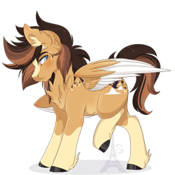 Size: 1024x1024 | Tagged: safe, artist:pvrii, oc, oc only, oc:caramel flight, pegasus, pony, male, simple background, solo, stallion, transparent background, unshorn fetlocks