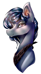 Size: 673x1221 | Tagged: safe, artist:xxmissteaxx, oc, oc only, oc:monroe, pony, bust, male, portrait, simple background, solo, stallion, transparent background