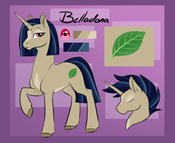 Size: 728x597 | Tagged: safe, artist:mythpony, oc, oc only, oc:belladona, pony, unicorn, female, mare, raised hoof, reference sheet, solo