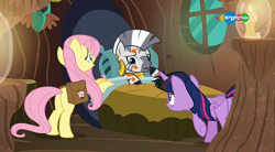 Size: 854x470 | Tagged: safe, screencap, fluttershy, twilight sparkle, twilight sparkle (alicorn), zecora, alicorn, pegasus, pony, zebra, a health of information, bed, carousel (tv channel)