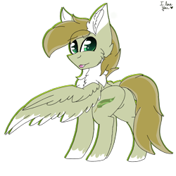 Size: 2560x2560 | Tagged: safe, artist:brokensilence, oc, oc only, oc:auctor, pegasus, pony, birthday gift, chest fluff, male, plot, stallion, tongue out