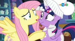 Size: 854x470 | Tagged: safe, screencap, fluttershy, twilight sparkle, twilight sparkle (alicorn), alicorn, pegasus, pony, a health of information, carousel (tv channel), chef's hat, duo, hat, now kiss