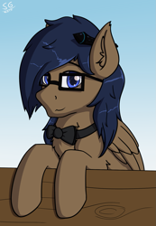 Size: 1161x1681 | Tagged: safe, artist:stargazer, derpibooru exclusive, oc, oc only, oc:stargazer nights, pony, bowtie, glasses, male, outdoors, pen, sky, smiling, solo, wood