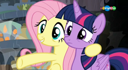 Size: 854x470 | Tagged: safe, screencap, fluttershy, twilight sparkle, twilight sparkle (alicorn), alicorn, pegasus, pony, a health of information, carousel (tv channel), duo, meadowbrook's home