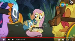 Size: 1275x698 | Tagged: safe, screencap, cattail, fluttershy, twilight sparkle, twilight sparkle (alicorn), alicorn, pegasus, pony, a health of information, carousel (tv channel), healer's mask, mask, meadowbrook's home, meme, youtube caption