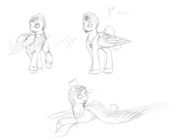 Size: 500x403 | Tagged: safe, artist:overlord pony, oc, oc only, oc:crimson corrado, pegasus, pony, gif, male, monochrome, non-animated gif, sketch, stallion