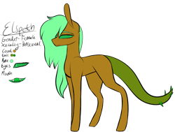 Size: 2389x1805 | Tagged: safe, artist:sweetmelon556, oc, oc only, oc:elspeth, original species, pony, female, reference sheet, simple background, solo, transparent background